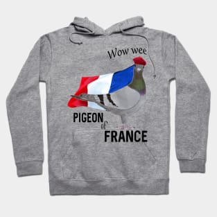 Pigeon of France Hoodie